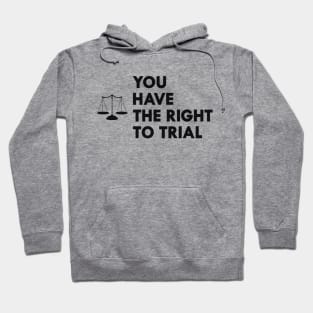 Lawyer - You have the right to trial Hoodie